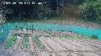 kannonmori-20250509155016.jpg