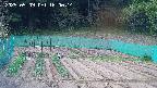 kannonmori-20250509160016.jpg