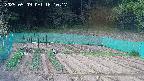 kannonmori-20250509161019.jpg