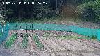 kannonmori-20250509162017.jpg