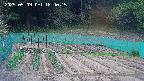 kannonmori-20250509164017.jpg