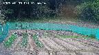 kannonmori-20250509175018.jpg