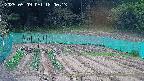 kannonmori-20250509180015.jpg