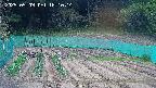 kannonmori-20250509181017.jpg