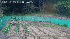 kannonmori-20250509183017.jpg
