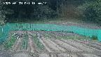 kannonmori-20250509185016.jpg