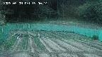 kannonmori-20250509190016.jpg