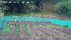 kannonmori-20250510053017.jpg
