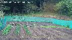 kannonmori-20250510062016.jpg