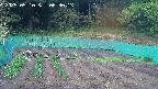 kannonmori-20250510063015.jpg
