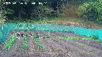 kannonmori-20250510064016.jpg