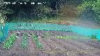 kannonmori-20250510065016.jpg