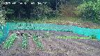 kannonmori-20250510070015.jpg