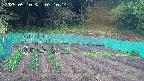 kannonmori-20250510071017.jpg