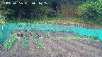 kannonmori-20250510084016.jpg