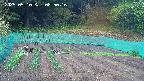 kannonmori-20250510085016.jpg