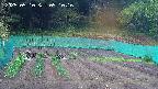 kannonmori-20250510091017.jpg