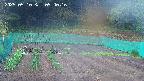 kannonmori-20250510094016.jpg