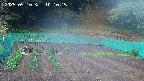 kannonmori-20250510101016.jpg