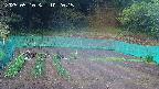 kannonmori-20250510102016.jpg