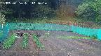 kannonmori-20250510103017.jpg