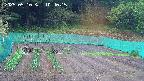 kannonmori-20250510104016.jpg