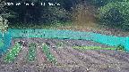 kannonmori-20250510110017.jpg