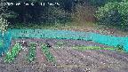 kannonmori-20250510111016.jpg