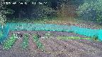 kannonmori-20250510112015.jpg