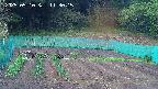 kannonmori-20250510113016.jpg