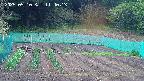 kannonmori-20250510114015.jpg