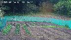kannonmori-20250510122016.jpg