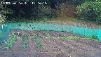 kannonmori-20250510131017.jpg