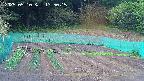 kannonmori-20250510135017.jpg