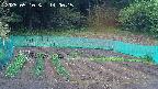 kannonmori-20250510140017.jpg