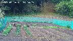 kannonmori-20250510141017.jpg