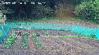 kannonmori-20250510142016.jpg