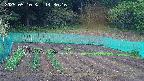 kannonmori-20250510143018.jpg