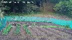 kannonmori-20250510144017.jpg