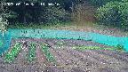 kannonmori-20250510145017.jpg