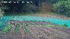 kannonmori-20250510151017.jpg