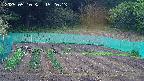 kannonmori-20250510152015.jpg