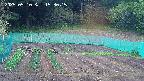 kannonmori-20250510153017.jpg