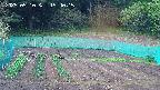 kannonmori-20250510154017.jpg