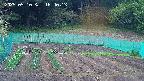 kannonmori-20250510164015.jpg