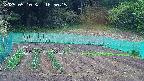 kannonmori-20250510165016.jpg