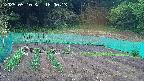 kannonmori-20250510180015.jpg