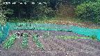 kannonmori-20250510181017.jpg