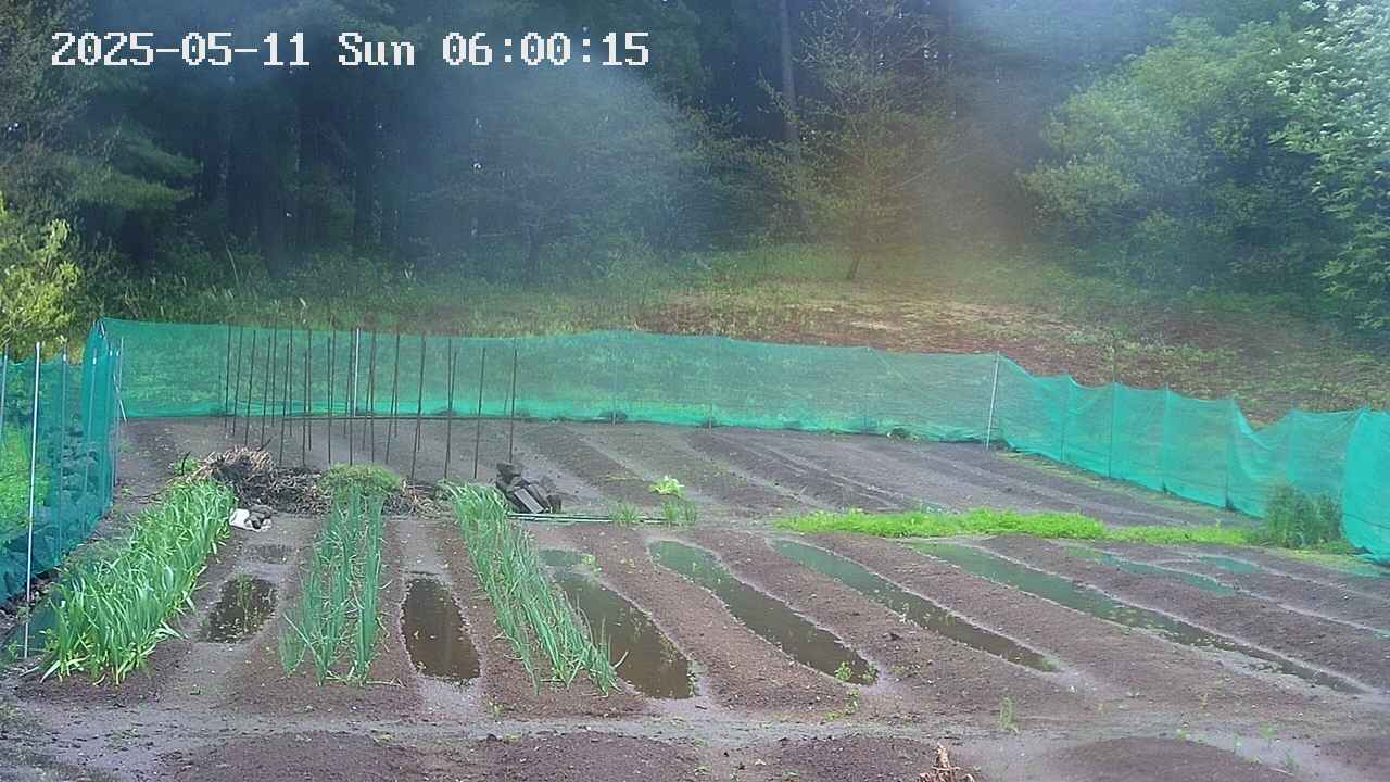 kannonmori-20250511060017.jpg