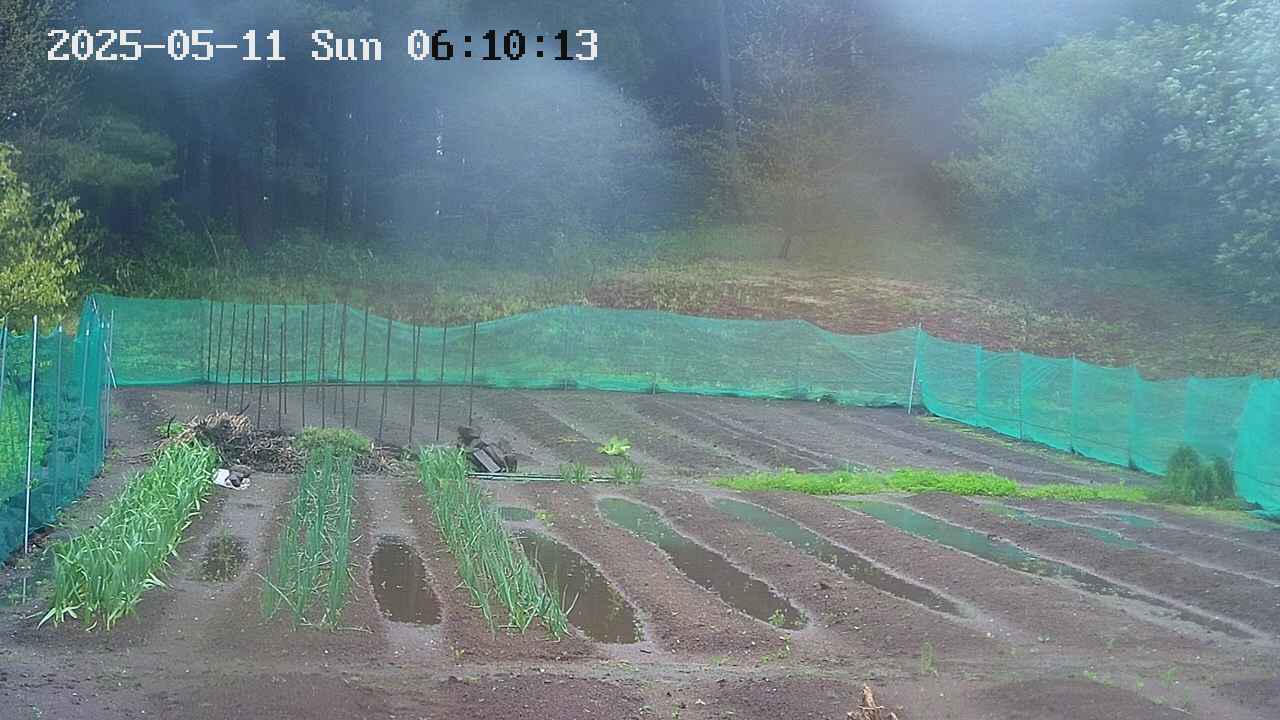 kannonmori-20250511061015.jpg
